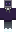 purple computer