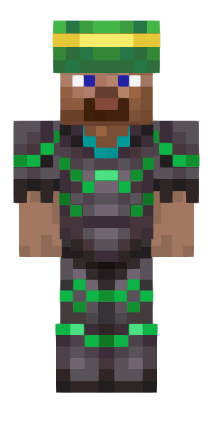 Turtle King avatar preview