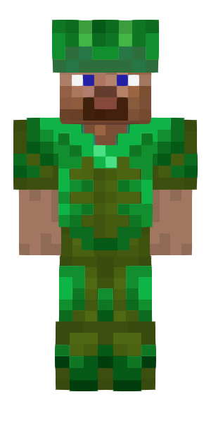 Armor set of The Turtlemaster avatar preview